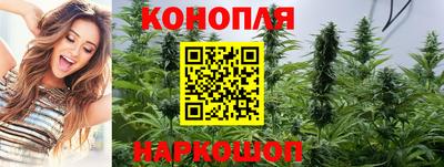 мдпв Шелехов