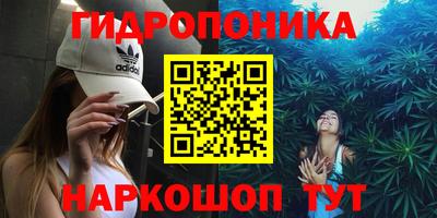 эйфоретик Шахты